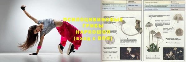 винт Нефтегорск