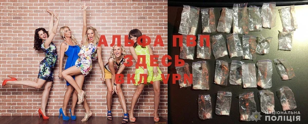 шишки Нефтекумск