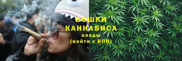 винт Нея