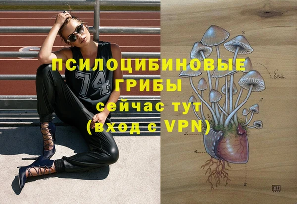 винт Нефтегорск