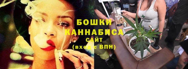 шишки Нефтекумск