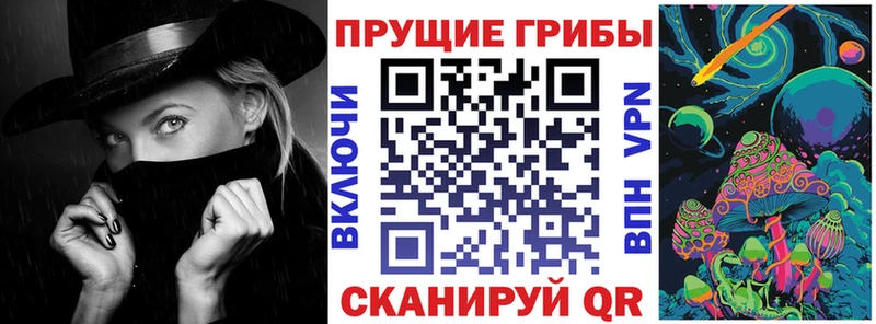 Купить где  Королёв  Псилоцибиновые грибы Psilocybine cubensis 