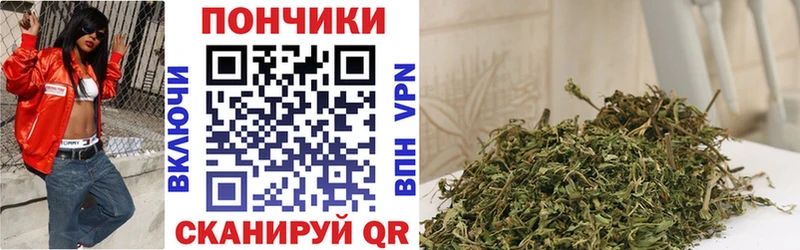 Купить закладки  Королёв  Марихуана VHQ 